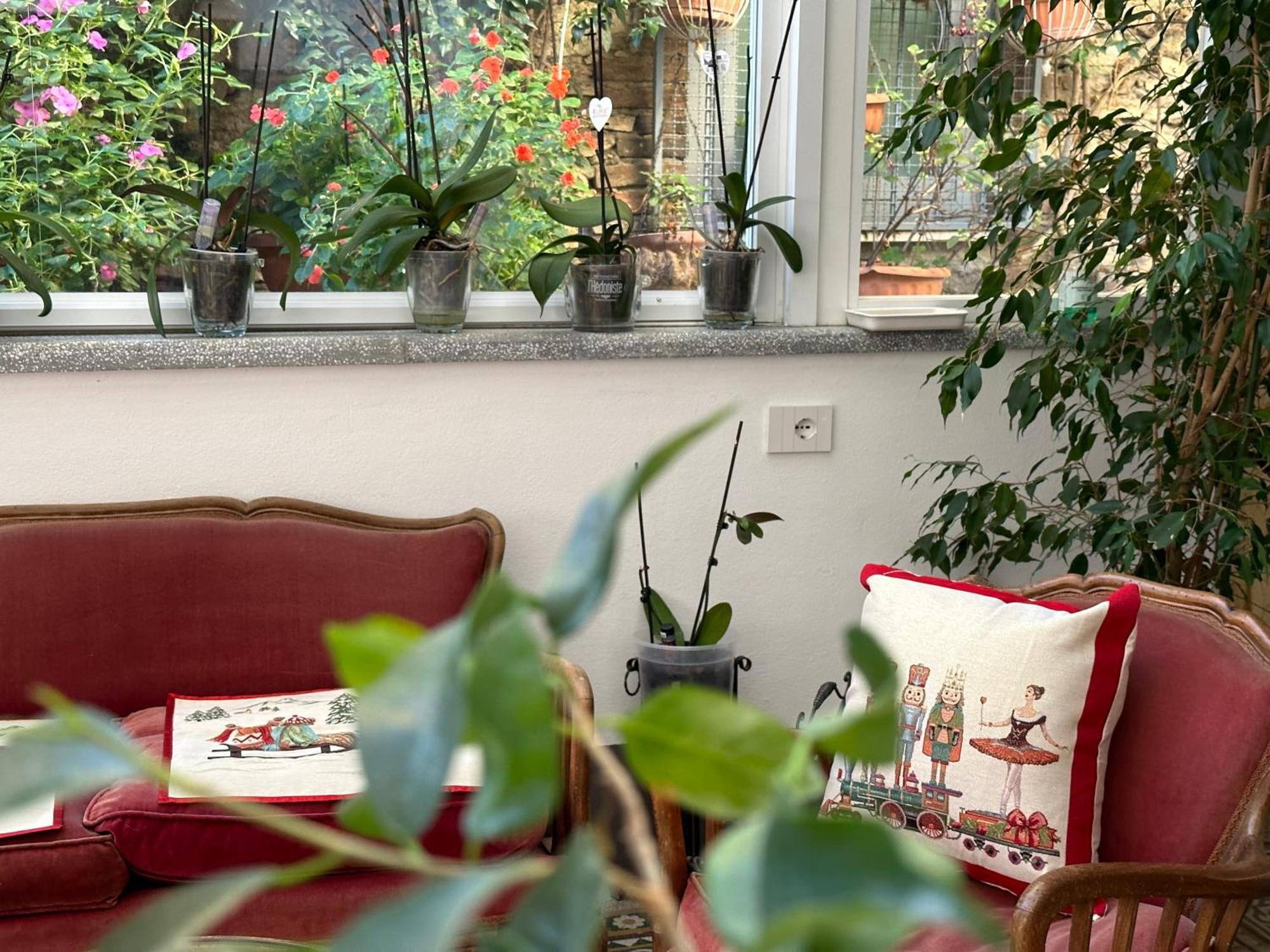 Domus Socolatae Residenza D'epoca Charming - Adults Only Alojamento de Acomodação e Pequeno-almoço